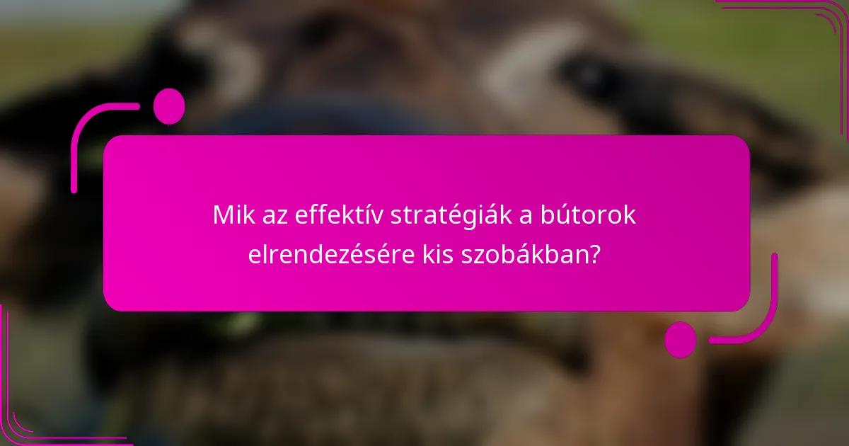 Mik az effektív stratégiák a bútorok elrendezésére kis szobákban?